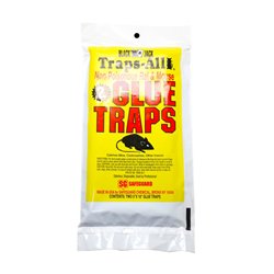 9066 - Black Jack Traps-All Glue Traps 5" x 10" - 2 Pack - BOX: 12 set