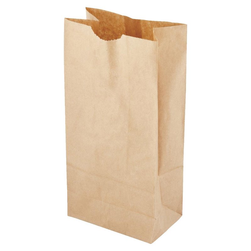 6904 - Paper Bags 2 - 500ct - BOX: 12 Pkg