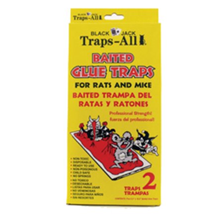 17774 - Black Jack Traps-All Glue Traps - 2 Pack - BOX: 