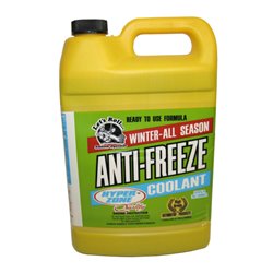 10780 - Anti-Freeze Coolant, 1 Gallon - (Case of 6) - BOX: 