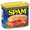 15172 - Spam Classic Canned Meat - 12 oz. (Case of 24) - BOX: 24