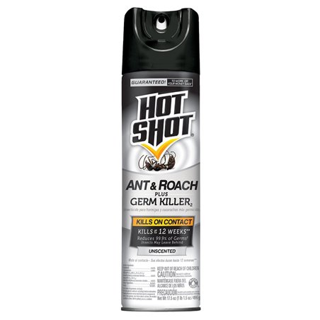21040 - Hot Shot Ant& Roach Unscented - 17.5 oz. - BOX: 12 Units