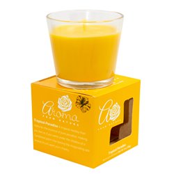 21254 - Aroma Scented Jar Candles, Tropican Paradise(Mamey) - 3oz  (Pack of 8) - BOX: 8 Units