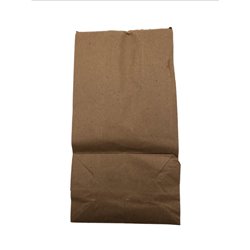 27154 - Brown Paper Bags 10 - 250ct - BOX: 