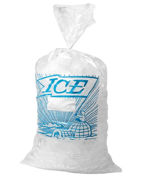 8795 - Ice Bags 10 Lb. - Box:  - Loc: I13