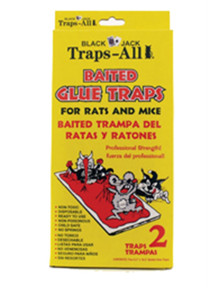 17774 - Black Jack Traps-All Glue Traps - 2 Pack - Box:  - Loc: I13