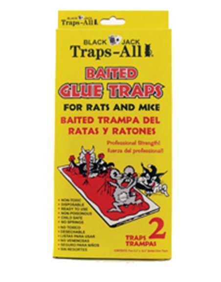 17774 - Black Jack Traps-All Glue Traps - 2 Pack - Box:  - Loc: I13