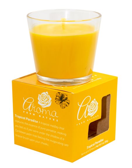 21254 - Aroma Candle Jar, Tropical Paradise - 3 oz. (Case of 8) - Box:  - Loc: A11