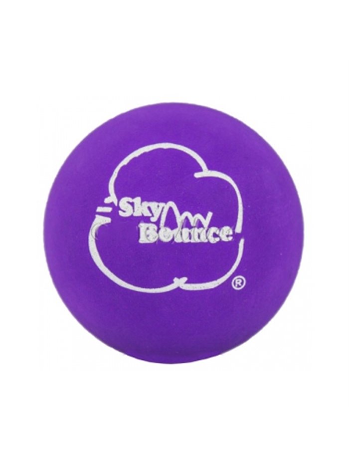 24483 - Sky Bounce Purple Balls - (Pack of 12) - Box:  - Loc: J6