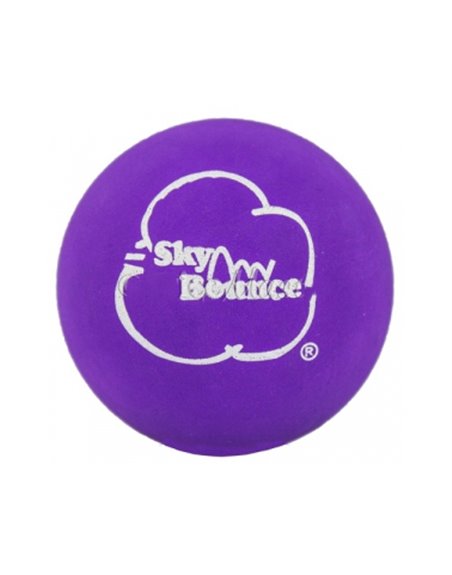 24483 - Sky Bounce Purple Balls - (Pack of 12) - Box:  - Loc: J6