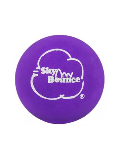 24483 - Sky Bounce Purple Balls - (Pack of 12) - Box:  - Loc: J6