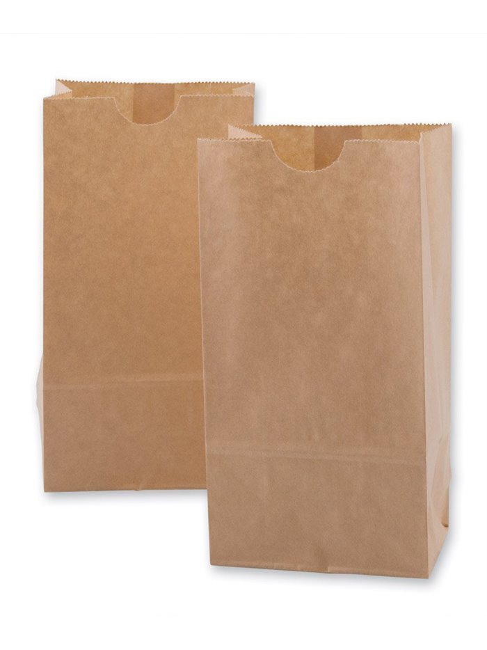 6903 - Paper Bags 1 - 500ct - Box:  - Loc: N7